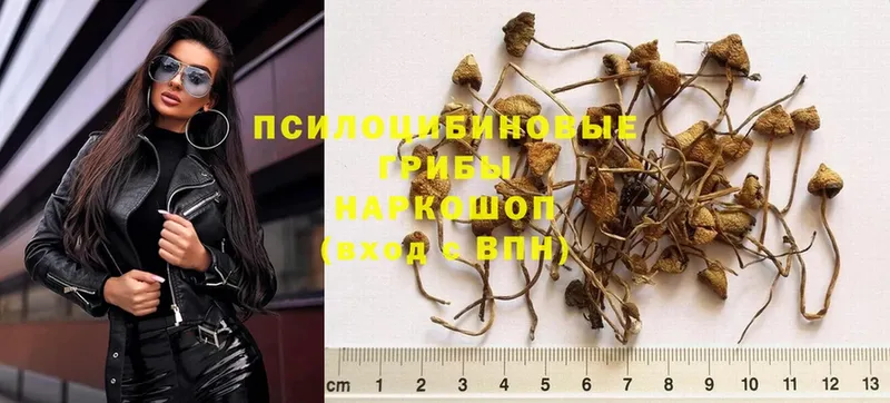 Псилоцибиновые грибы Psilocybe  дарк нет клад  Белоусово  МЕГА ссылка 